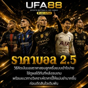 ราคาบอล 2.5